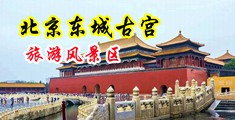 丝足爽歪歪中国北京-东城古宫旅游风景区